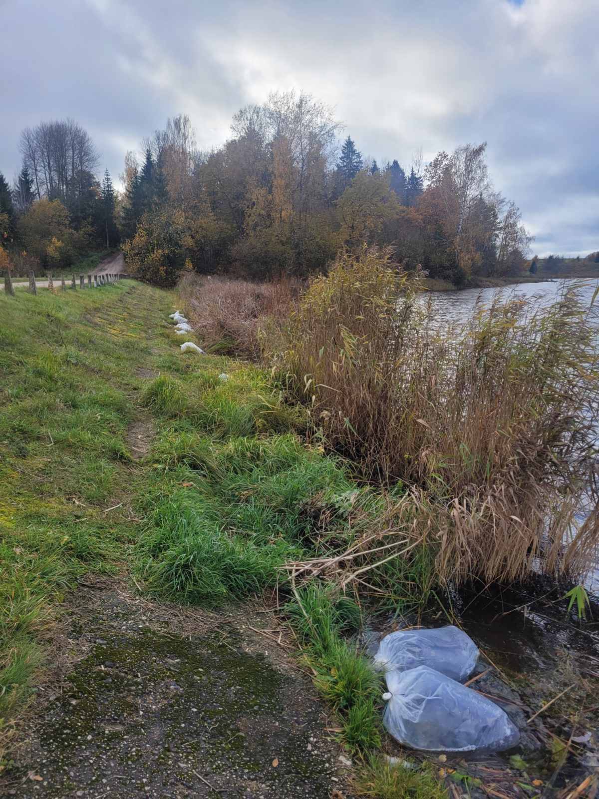 izuvinimas lydekaitemis